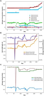 Synergistic interactions between anammox and dissimilatory nitrate reducing bacteria sustains reactor performance across variable nitrogen loading ratios